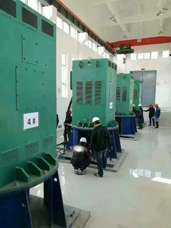 宁陵某污水处理厂使用我厂的立式高压电机安装现场品质保证