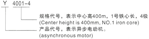 西安泰富西玛Y系列(H355-1000)高压宁陵三相异步电机型号说明